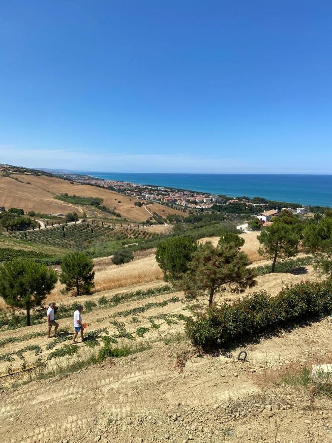 Casale Adriatico B&B Pineto Εξωτερικό φωτογραφία